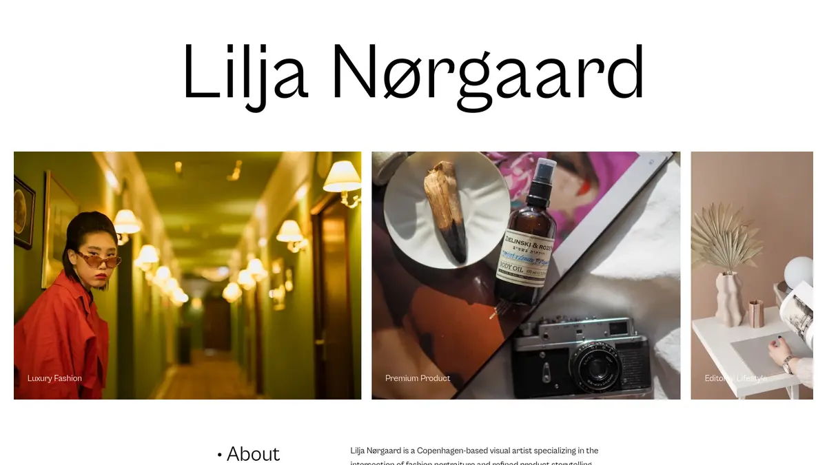 Screenshot of Contemporary Portfolio